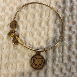 {Alex and Ani Elephant}